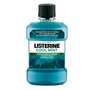 Bain de Bouche Listerine Cool Mint 1 L