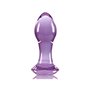 Plug Anal NS Novelties Crystal (by NSN) Violet