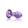 Plug Anal NS Novelties Crystal (by NSN) Violet