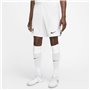 Short de Sport pour Homme Nike DN2725-100-XL