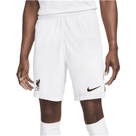 Short de Sport pour Homme Nike DN2725-100-M