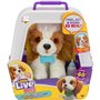 Mon Chiot Beagle - MOOSE TOYS - REALLY REAL - LITTLE LIVE PETS - Chiot interactif avec sons et réactions