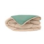 CALGARY Couette chaude Microfibre 400g/m² Beige Galet & Vert Lac 240x260cm