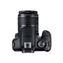 Canon EOS 2000D + EF-S 18-55mm f/3.5-5.6 III Kit d'appareil-photo SLR 24,1 MP CMOS 6000 x 4000 pixels Noir