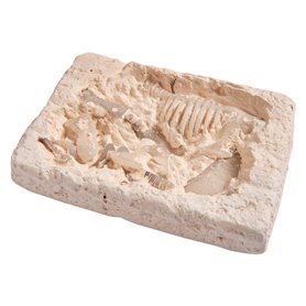 Simba - Glow in the Dark T-Rex Excavation Set 104342403