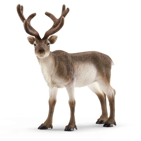 schleich WILD LIFE Renne