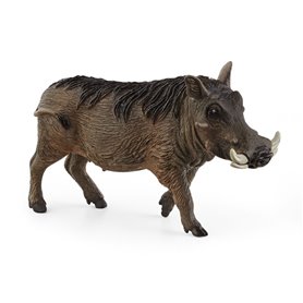 schleich WILD LIFE Phacochère