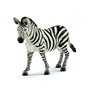 schleich WILD LIFE Zébrelle