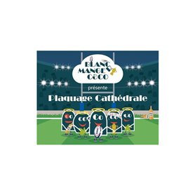 Jeu dambiance Hiboutatillus Plaquage Cathédrale