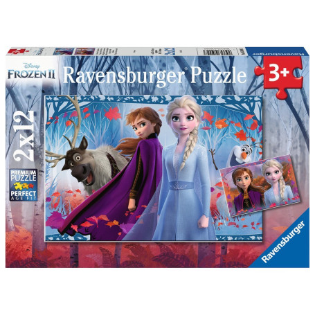 Ravensburger 5009 puzzle 12 pièce(s)