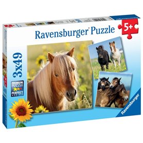 Ravensburger 8011 puzzle 49 pièce(s)