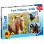 Ravensburger 8011 puzzle 49 pièce(s)
