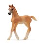 schleich HORSE CLUB 13984 figurine pour enfant