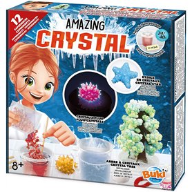 Amazing crystal 12 experiences