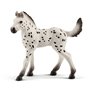 schleich HORSE CLUB Poulain Knabstrupper