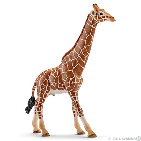 schleich WILD LIFE Girafe Mâle