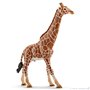 schleich WILD LIFE Girafe Mâle