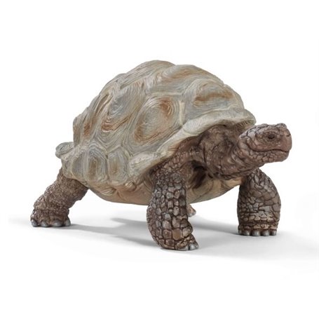 schleich WILD LIFE Tortue géante