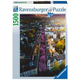 Ravensburger 17104 puzzle Jeu de puzzle 1500 pièce(s) Paysage