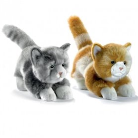 Chaton joueur roux peluche 20cm