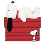 Snoopy - Tiny Teddy snoopy en boite cadeau