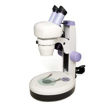 Levenhuk 5st Microscope - couleur blanc