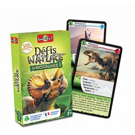 Défis nature - dinosaures 1