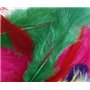 Petit sachet 20 plumes de 7cm colorees