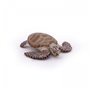 56005 Tortue caouanne figurine