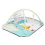 Tapis de jeu bébé 5en1 Lolly Elephant