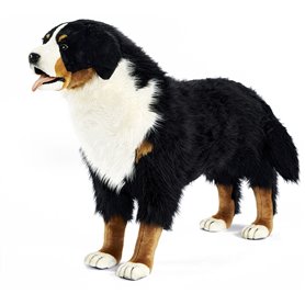 Hansa peluche Geante Bouvier Bernois 4 Pattes 125 cm L