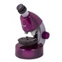 Microscope Levenhuk LabZZ M101 Violet