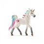 70572 Licorne des mers