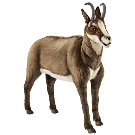 Hansa Peluche Geante Chamois 107 cm L