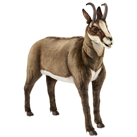 Hansa Peluche Geante Chamois 107 cm L