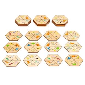 Matching Practice concentration - Nature Hexagon - jeu Montessori