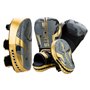 Set d'entrainement boxe DF SPORTS - Modèle Arena - Gris/Or - 10oz