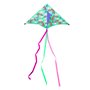 Cerf-volant - Arc-en-ciel