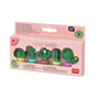 set de 5 gommes parfumees cactus