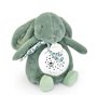 Veilleuse musicale Lapin vert