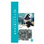 Nanoblock Sorciere 160 pcs - Mini series