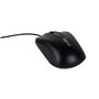 Souris iggual IGG318867