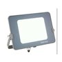 Silver Electronics 172020 Projecteur 20 W LED Gris