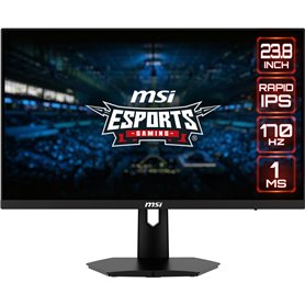 MSI G244F E2 écran plat de PC 60