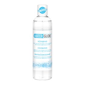 Lubrifiant Waterglide 300 ml