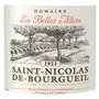 Domaine Les Belles Allées 2022 Saint-Nicolas-de-Bourgueil - Vin rouge de Loire