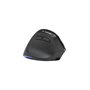 Souris ergonomique sans fil - BLUESTORK - ERGO LUMI - 6 boutons - Rétroéclairée - Noir