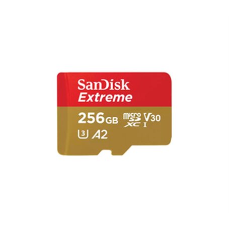 SanDisk Extreme 256 Go MicroSDXC UHS-I Classe 10