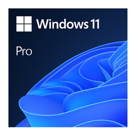 Microsoft Windows 11 Pro OEM