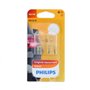 Philips Vision 12065B2 Lampe conventionnelle de signalisation et habitacles